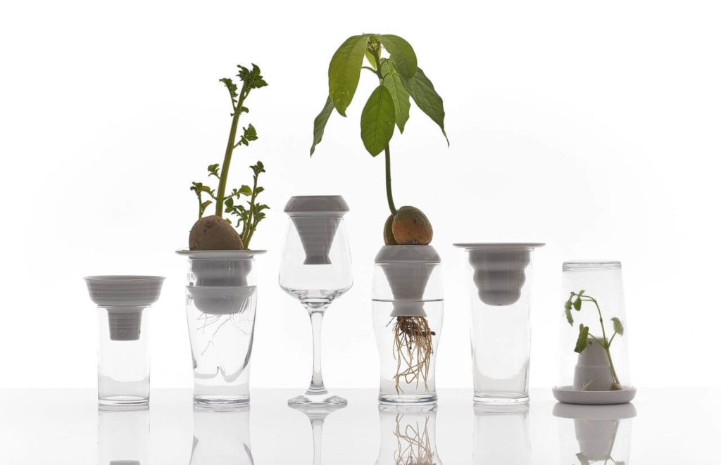 A set of six installations combining glasses with superimposed white ceramic elements into which developing plants have been inserted. Each installation has a different, unique shape. The leaves and fruits of the plants are usually visible on the external part, outside the glasses, while the roots are kept inside.